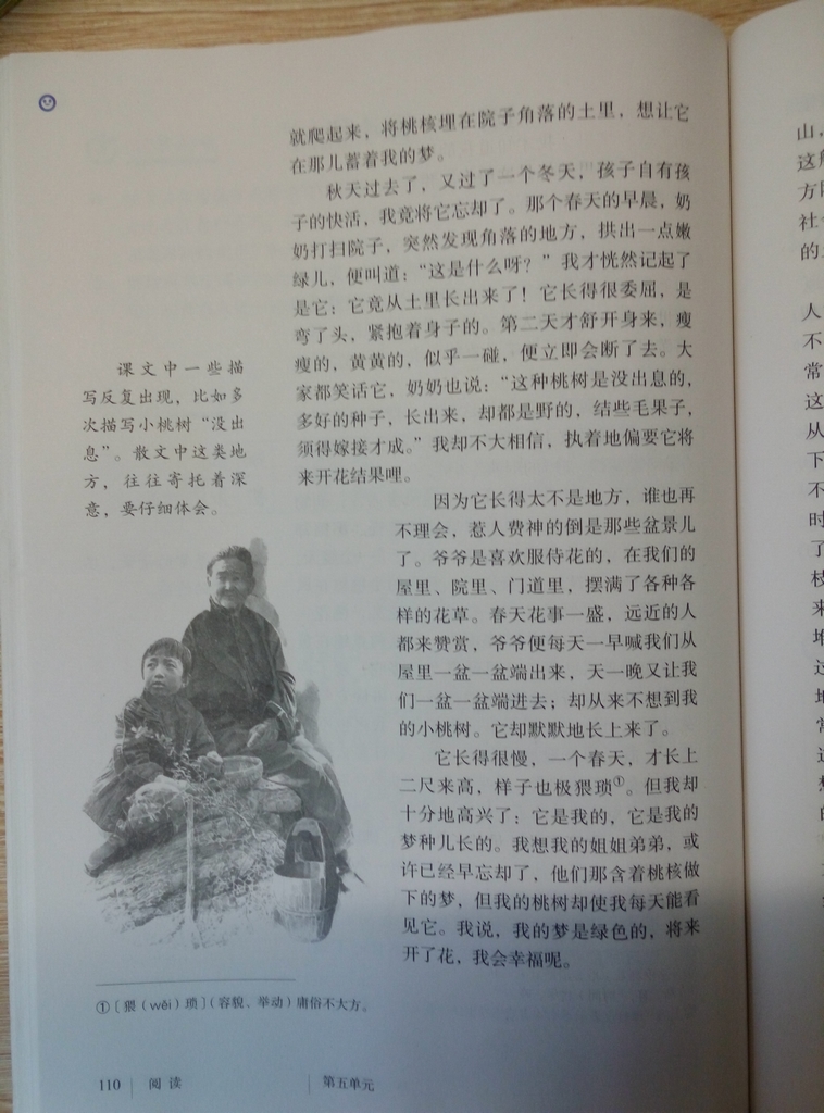 18*一棵小桃树贾平凹(Page110)