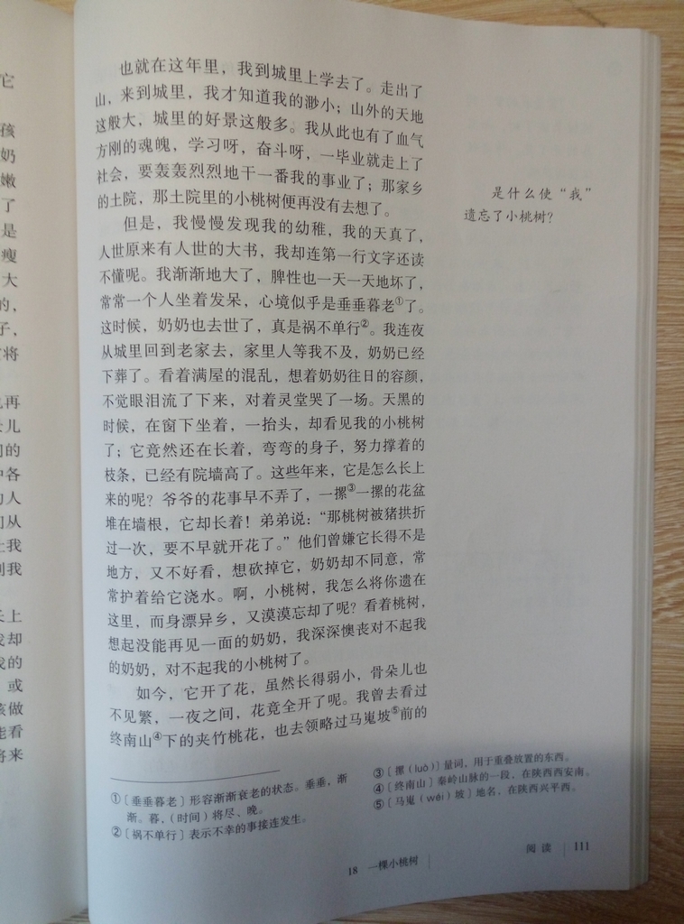 18*一棵小桃树贾平凹(Page111)