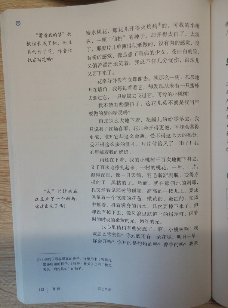 18*一棵小桃树贾平凹(Page112)