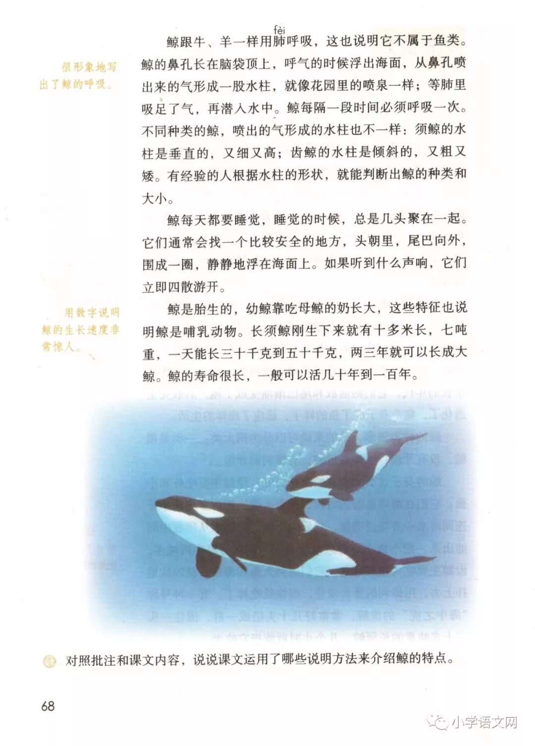 鲸(Page68)