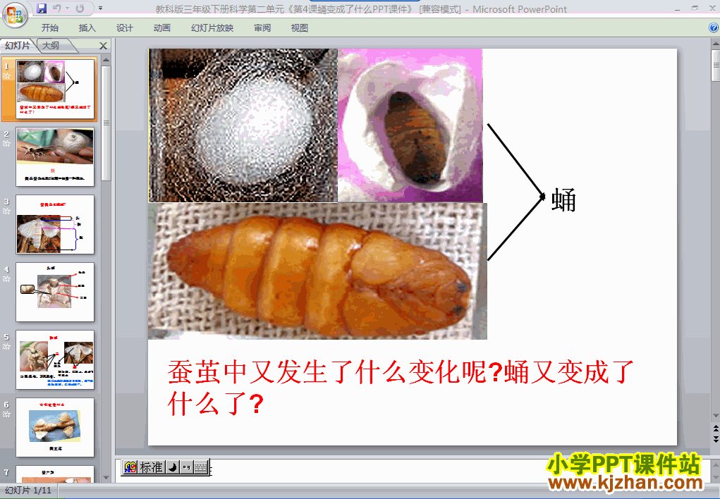 صڶԪ2.4Ӽʲôpptμ(꼶ѧ²)